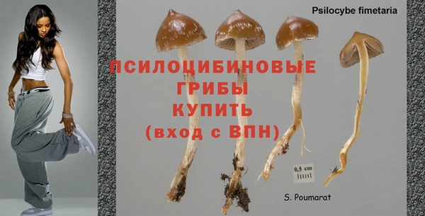 герыч Арсеньев