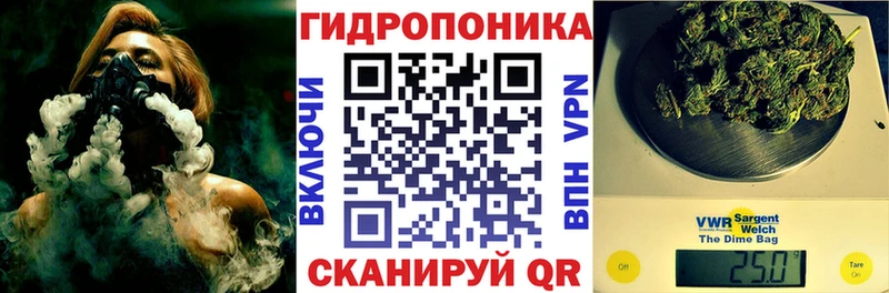 Бошки марихуана семена  Долгопрудный 
